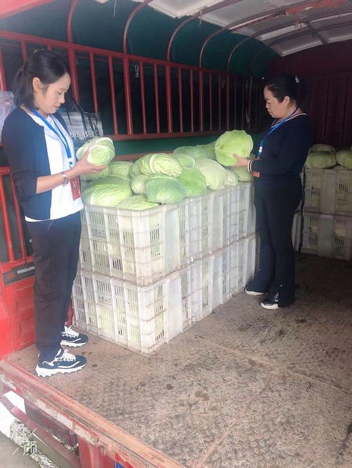 習水產(chǎn)投集團 助力滯銷農(nóng)產(chǎn)品擴銷路