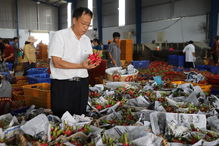 新發(fā)地在海外建農(nóng)產(chǎn)品基地,總面積近27萬畝